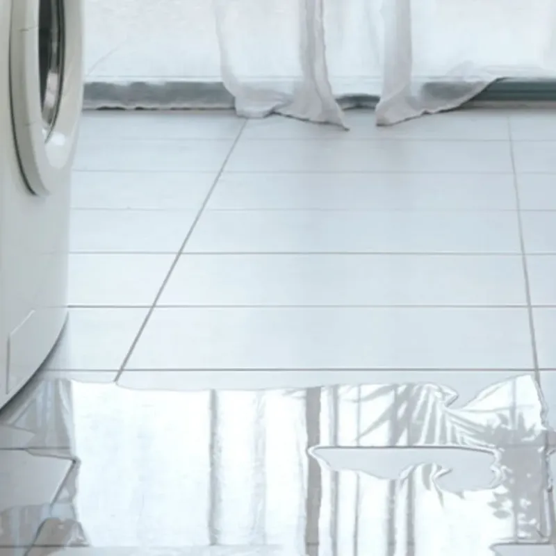 Appliance Leak Cleanup in Portland, TN