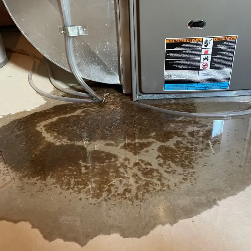 Pipe Burst and Leak Restoration in Portland, TN