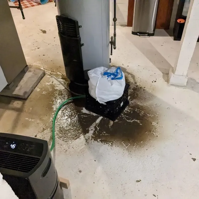 Sewage Backup Cleanup Service in Portland, TN